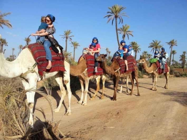 Tres Beau Riad A Marrakech Avec Piscines مراكش المظهر الخارجي الصورة